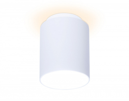 Накладной светильник Ambrella Light TN260