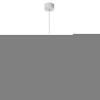 Подвесной светильник LOFT LSP-8349