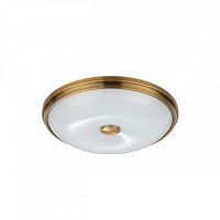 Накладной светильник Odeon Light 4956/4