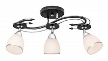 Накладная люстра Silver Light 245.59.3