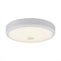 Накладной светильник Citilux CL706130