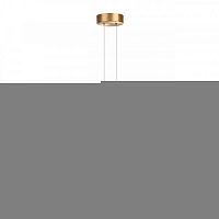 Подвесной светильник Odeon Light 4336/27L