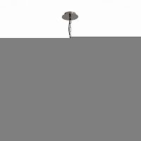 Подвесная люстра ST-Luce SL219.142.05