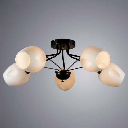 Накладная люстра ARTE Lamp A2706PL-5CK фото 3
