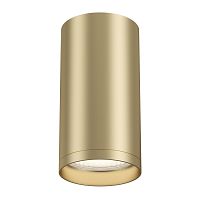 Накладной светильник Maytoni Technical C052CL-01MG