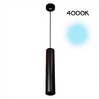 Подвесной светильник Citilux CL01PB121N