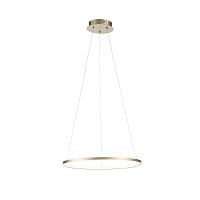 Подвесной светильник ST-Luce SL904.203.01