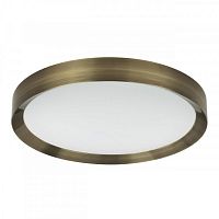 Накладной светильник Odeon Light 4948/60CL