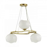 Подвесная люстра Odeon Light 4873/3