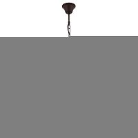 Подвесная люстра ST-Luce SL410.403.01