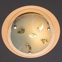 Накладной светильник ARTE Lamp A4043PL-1CC
