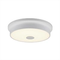 Накладной светильник Citilux CL706220