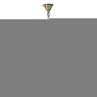 Подвесная люстра MW-Light 317010708