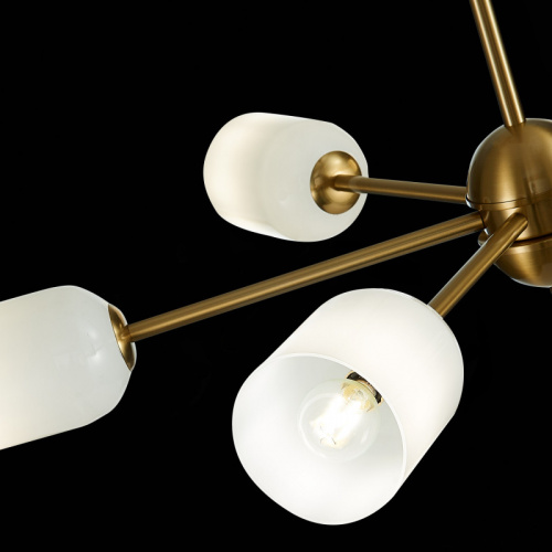 Люстра на штанге ST-Luce SL1180.202.06 фото 9