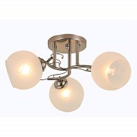 Люстра на штанге Rivoli 9000-303