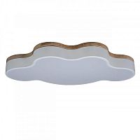 Детский светильник LOFT IT 10005/36 White