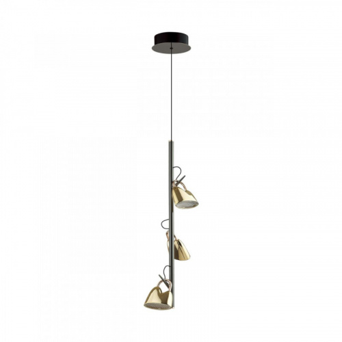 Подвесной светильник Odeon Light 5002/13L
