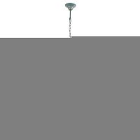 Подвесная люстра ST-Luce SL426.763.05