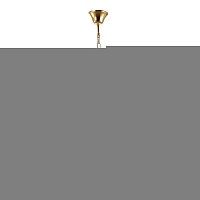 Подвесная люстра Odeon Light 4723/8