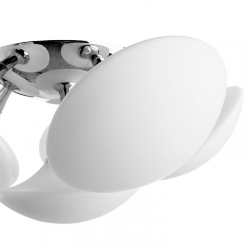 Накладная люстра ARTE Lamp A2550PL-6CC фото 4