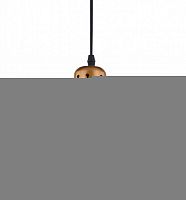 Подвесной светильник ARTE Lamp A4245SP-1BK