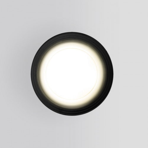 Уличный светильник Elektrostandard Light 2101 (35128/H) черный фото 3