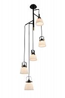 Подвесной светильник ST-Luce SL714.443.05