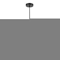 Подвесной светильник Vele Luce VL5334P03