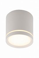 Накладной светильник Denkirs DK4016-WH