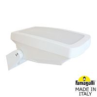 Светильник настенный Fumagalli 2N1.702.000.WYF1R
