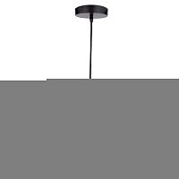 Подвесной светильник LOFT LSP-9543
