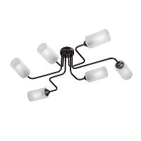 Люстра на штанге Vitaluce V4310-1/6PL