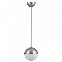 Подвесной светильник Odeon Light 4959/1