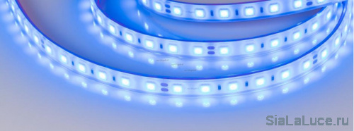 arlight 013531