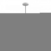 Подвесной светильник LOFT IT 2030-P4