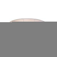 Накладной светильник Citilux CL913141