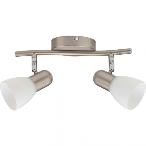 Спот TOPLIGHT TL1231Y-02SN