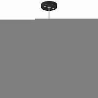 Подвесной светильник Lightstar RP44037