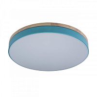Детский светильник LOFT IT 10001/36 Blue