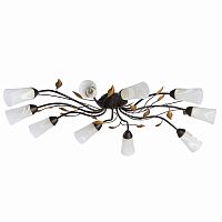 Накладная люстра MW-Light 242015410