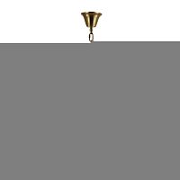 Подвесная люстра Odeon Light 4675/8