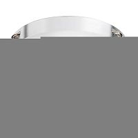 lightstar 202430