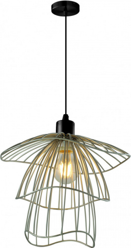 Подвесная люстра TOPLIGHT TL1192H-01SL