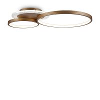 Накладной светильник Freya FR10014CL-L63G