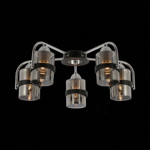 Накладная люстра Evoluce SLE102002-05 фото 4