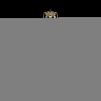 Подвесная люстра Bohemia Ivele Crystal 16111/10/240/h-80 FP