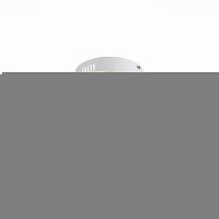 Накладной светильник ST-Luce SL868.502.02