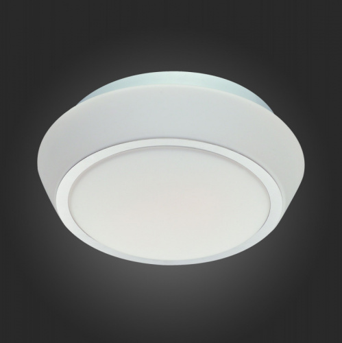 Накладной светильник ST-Luce SL496.502.02