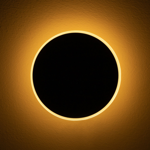Бра Freya FR6002WL-L13B фото 15