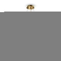 Подвесная люстра Maytoni MOD313PL-06G